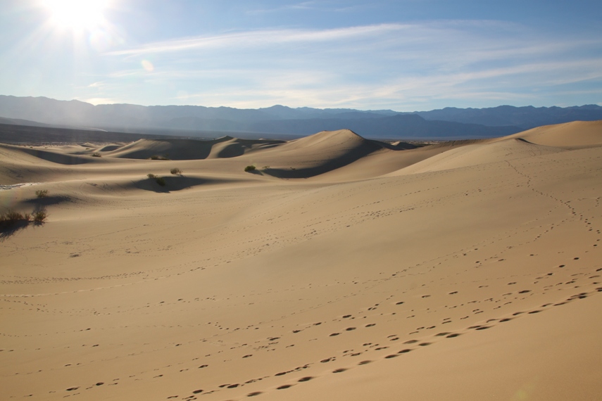 Mesquite Dunes